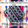 Jalea Oral 100Mg Kamagra Cómo Usar 31